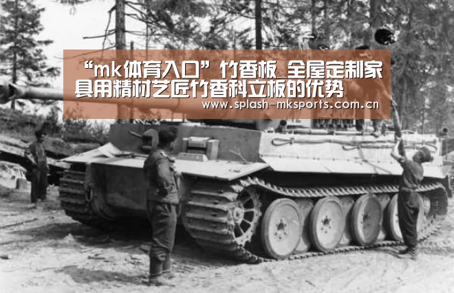“mk体育入口”竹香板_全屋定制家具用精材艺匠竹香科立板的优势(图1) mk体育