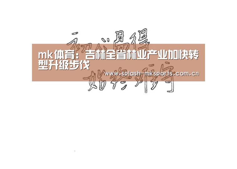 mk体育app下载入口